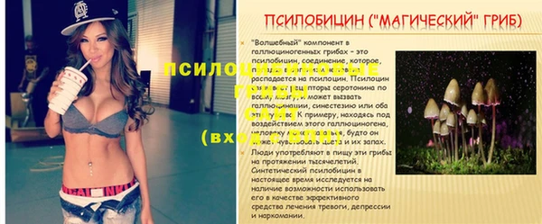 ГАЛЛЮЦИНОГЕННЫЕ ГРИБЫ Беломорск