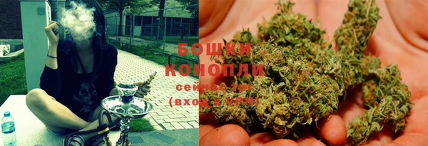ГАЛЛЮЦИНОГЕННЫЕ ГРИБЫ Беломорск