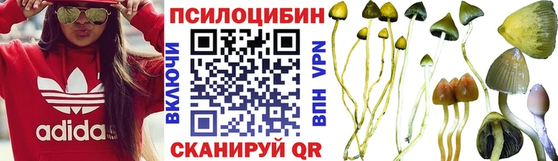 нарко площадка клад  Сегежа  Псилоцибиновые грибы ЛСД 