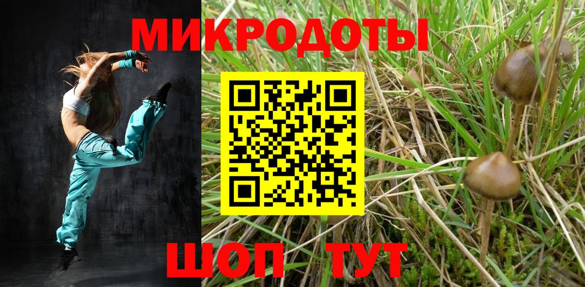 Псилоцибиновые грибы GOLDEN TEACHER  Галлюциногенные грибы Cubensis  Сегежа  цена   Вход с VPN 